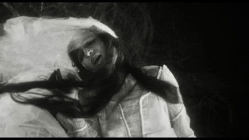 Der Untergang des Hauses Usher Bild 4