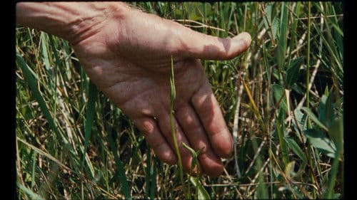 Sept promenades avec Mark Brown Bild 2