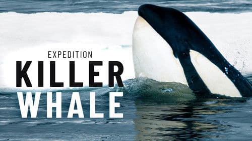 Expedition Killer Whale Bild 1