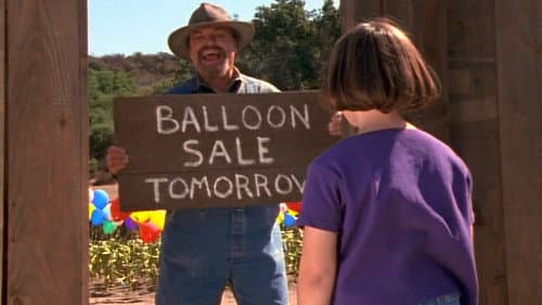 Balloon Farm Bild 4
