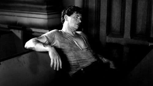 Die Docks von New York Bild 2