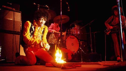 The Jimi Hendrix Experience: Live at Monterey Bild 3