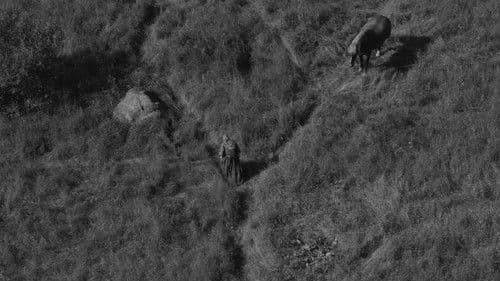 На этой земле Bild 6