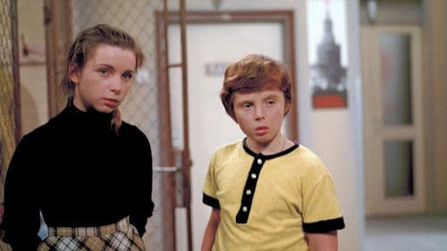 Sova sídlí v dutém stromě Bild 1