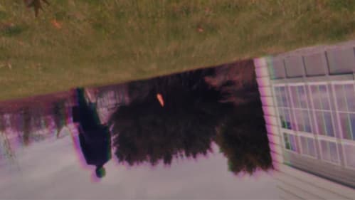 Honeydew Sexdream Bild 1