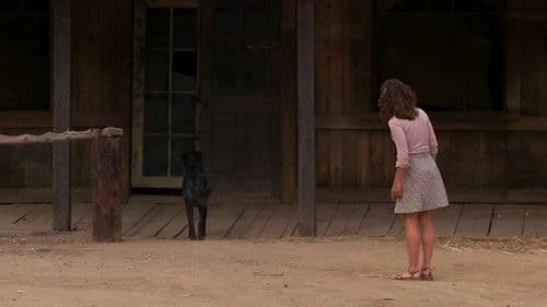 Don't Go Near the Park Bild 2