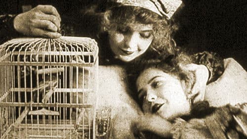 The Lady and the Mouse Bild 1