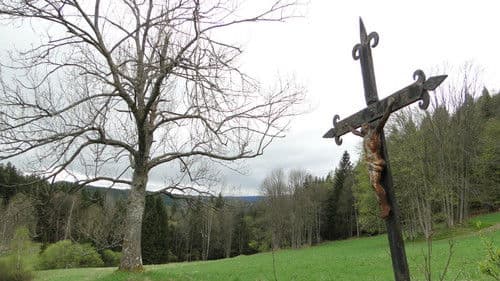 Šumava Vladimíra Horpeniaka Bild 1