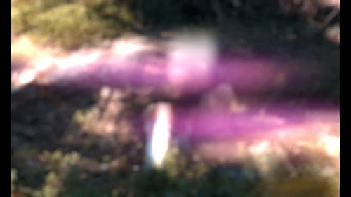 Lost and Found Bild 2