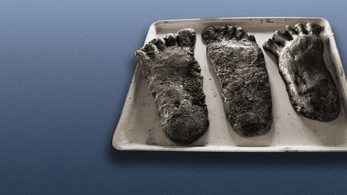 Hunt for the Abominable Snowman Bild 1