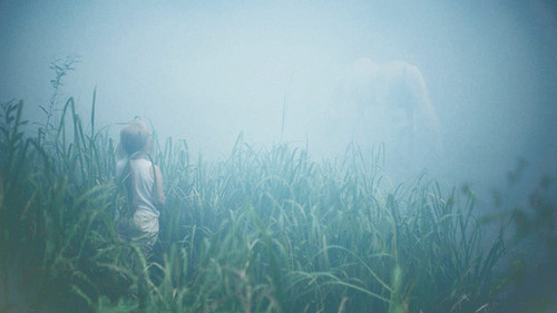 Wenn Bäume fallen Bild 6