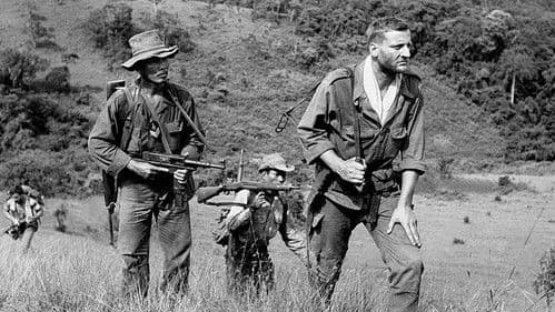 Die 317. Sektion Bild 1