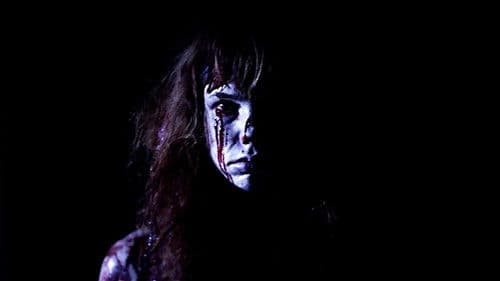 A Wakefield Project Bild 1