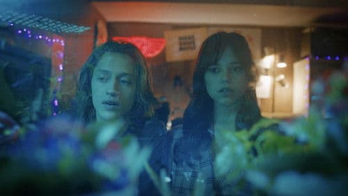 Winter Spring Summer or Fall Bild 7