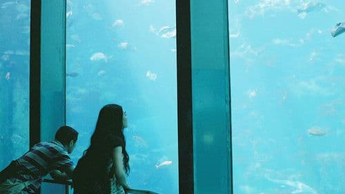 ひとつの歌 Bild 1