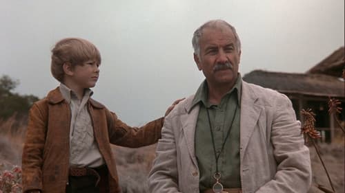 Im Glanz der Sonne Bild 5