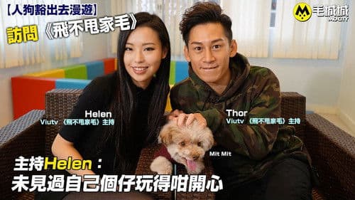 飛不甩家毛 Bild 2