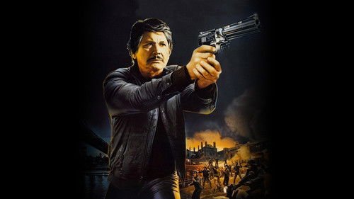 Death Wish 3 - Der Rächer von New York Bild 3