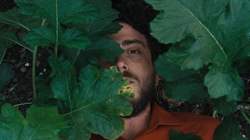 A Metamorfose dos Pássaros Bild 5