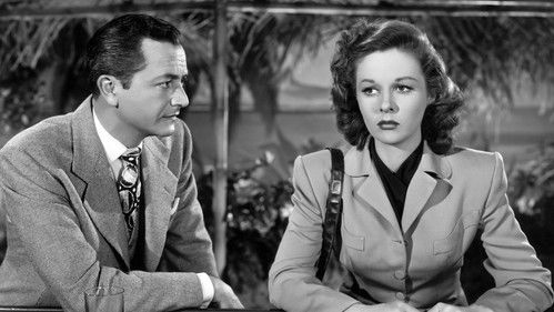 They Won't Believe Me Bild 3