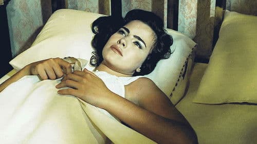 Hilda Furacão Bild 3