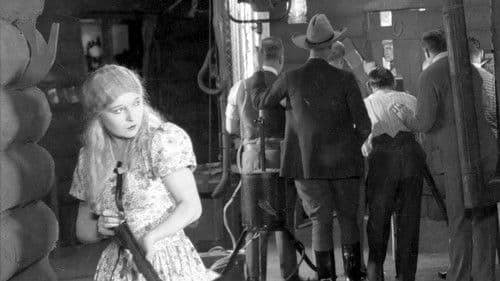 Shooting Stars Bild 2