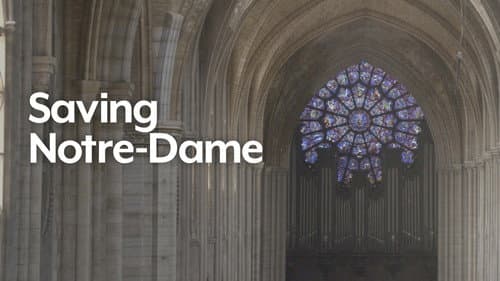 Saving Notre Dame Bild 3
