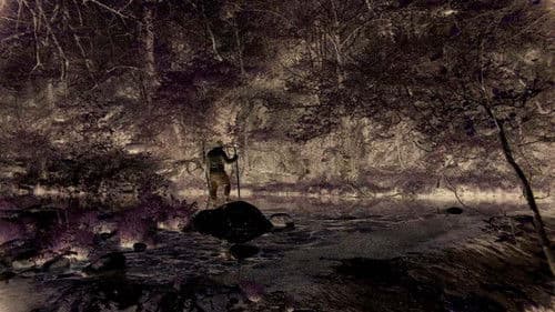 Noite Sem Distância Bild 1