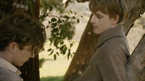 Lilies Not for Me Bild 2