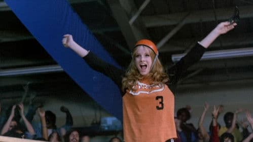 Roller-Fieber Bild 6