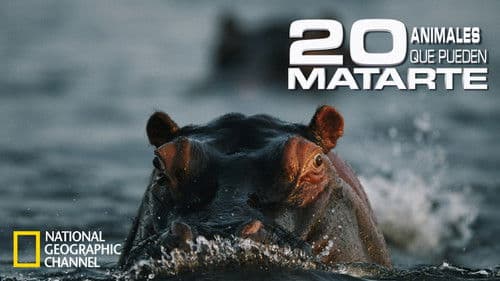 20 Tiere die töten Bild 2