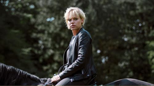 Gestüt Hochstetten Bild 1