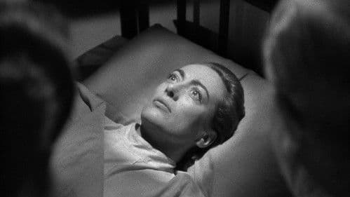 Hemmungslose Liebe Bild 4