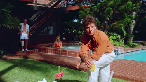 Hawaii Connection Bild 7
