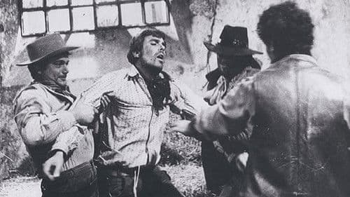 Die Zeit der Geier Bild 1