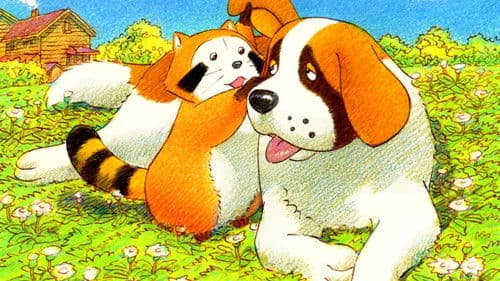 Rascal, der Waschbär Bild 5