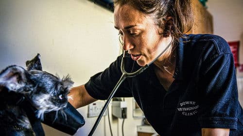 Mountain Vets Bild 1