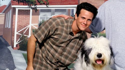 Bundles - Ein Hund zum Verlieben Bild 2