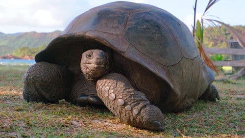 Vieillir dans la nature Bild 4