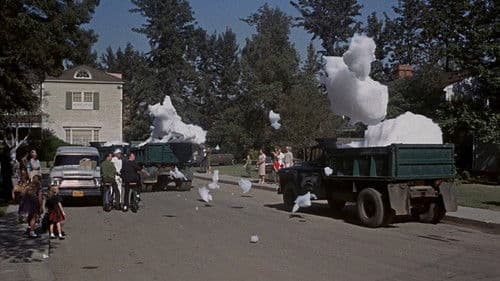 Was diese Frau so alles treibt Bild 7