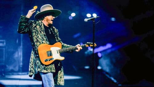 Zucchero – Sugar Fornaciari Bild 5