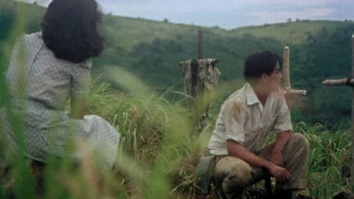 Oro, Plata, Mata Bild 7