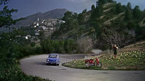 Schmeißt die Affen raus Bild 2