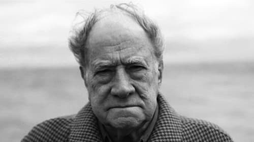 Messenger on a White Horse Bild 6