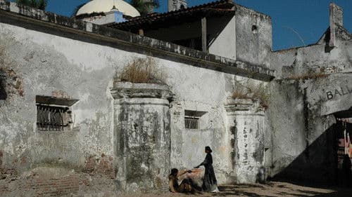 Las vueltas del citrillo Bild 2