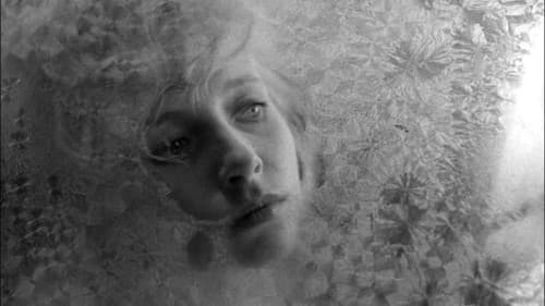 Mein 20. Jahrhundert Bild 2