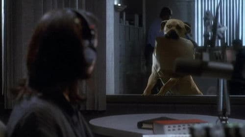 Lügen haben lange Beine Bild 5