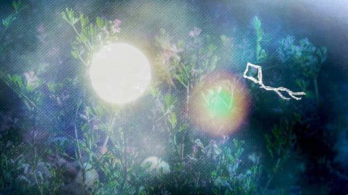 Let It Be a Tale Bild 1