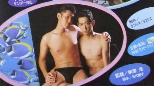 イルカは海に帰る Bild 1