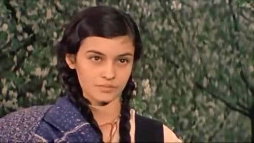 Женщина издалека Bild 3